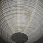 Shelby Spaulding - @deadhead1119 - Instagram