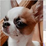 🐶Shelby Stone - @shelby_stone_ - Instagram