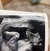 Shelby Thacker - Facebook