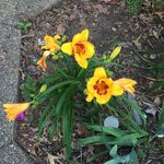 Shelby Thacker - @shelby_thacker29 - Instagram