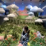Shelby Wu - Facebook
