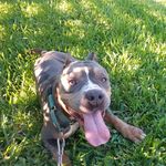 Sheldon Baxter - @sheldonbaxter572 - Instagram