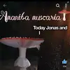 love is truly de - @sheldon.beck - TikTok