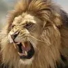 Sheldon Emanuel Bernard - @sheldon.emanuel.b - TikTok