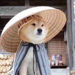 Sheldon Chan - @sheldon.chan.92 - Instagram