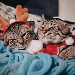 Chandler & Sheldon - @chandlerandsheldon - Instagram