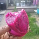 Sheldon Davis - @sheldon.davis.167 - Instagram