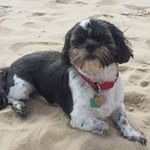 Sheldon Douglas - @sheldon.douglas.923 - Instagram
