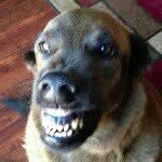 Sheldon Douglas Browning - @sheldon_douglas_booby - Instagram