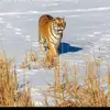 sheldonenglish4 - @sheldon.english - TikTok
