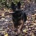 Mark Farrington - Facebook