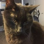 @foleyandsheldon - Instagram