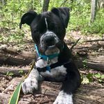 Sheldon Parker Frank - @sheldon_parker_frank - Instagram