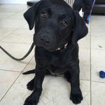 Sheldon Grant - @sheldon_life_ - Instagram