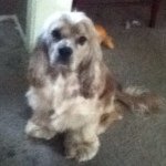 Sheldon Griffith - @hehe_im_sheldon - Instagram