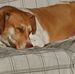 Sheldon Jacobson - Facebook