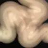 Sheldon K - @sheldonkeefe - TikTok