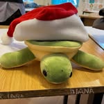 Sheldon ( Deva Debate ) - @sheldon_king_turtle - Instagram