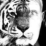 Sheldon. king - @sheldon.king - Instagram