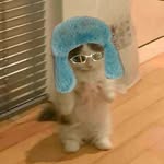 Sheldon King Jr. - @yoinkyspoinki - Instagram