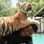 Sheldon Lewis - @sheldonlewis401 - Instagram
