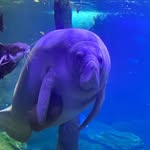 Sheldon May - @boombros360 - Instagram