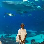 Sheldon Mitchell - @sheldon.mitchell.5851 - Instagram