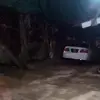 sheldonmohammed94 - @sheldonmohammed94 - TikTok
