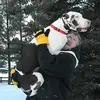 Sheldon Parks651 - @sheldonparks651 - TikTok