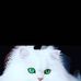Sheldon Patrick - Facebook