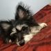 Paul Sheldon - Facebook