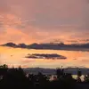 Paul Sheldon - @paul.sheldon1 - TikTok