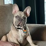 Sheldon Cletus Perkins - @bonjoursheldon - Instagram
