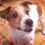 Шелдон - @sheldon__russell - Instagram