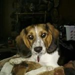 sheldon russell - @sheldonrussell5311 - Instagram