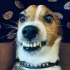 sheldon_russell - @sheldon_russell - TikTok