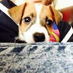 Sheldon-lee - @sheldon.lee.stephenson - Instagram