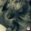 sheldontompkins - @sheldontompkins - TikTok