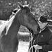 Sheldon Ward Horsemanship - Facebook