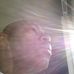 Sheldon Wells - Facebook