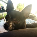 Sheldon Wheeler - @sheldonathan - Instagram