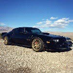 Sheldon Wiebe - @sheldon_wiebe - Instagram