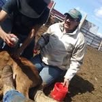 Sheldon Williamson - @sheldonwilliamson - Instagram