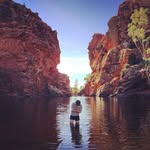 Sheldon Williamson Architecture & Design - @shelwizzle - Instagram
