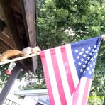 Sheldon Wolfe - Facebook