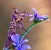 Sheila Bishop - Facebook