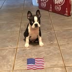 Shelia Freeman - Facebook