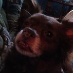 Shelia Lee - @shelia.lee.731 - Instagram
