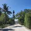 Shelia Lee - @shelia.lee5 - TikTok
