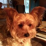 Shelia webb - @sheliawebb5 - Instagram